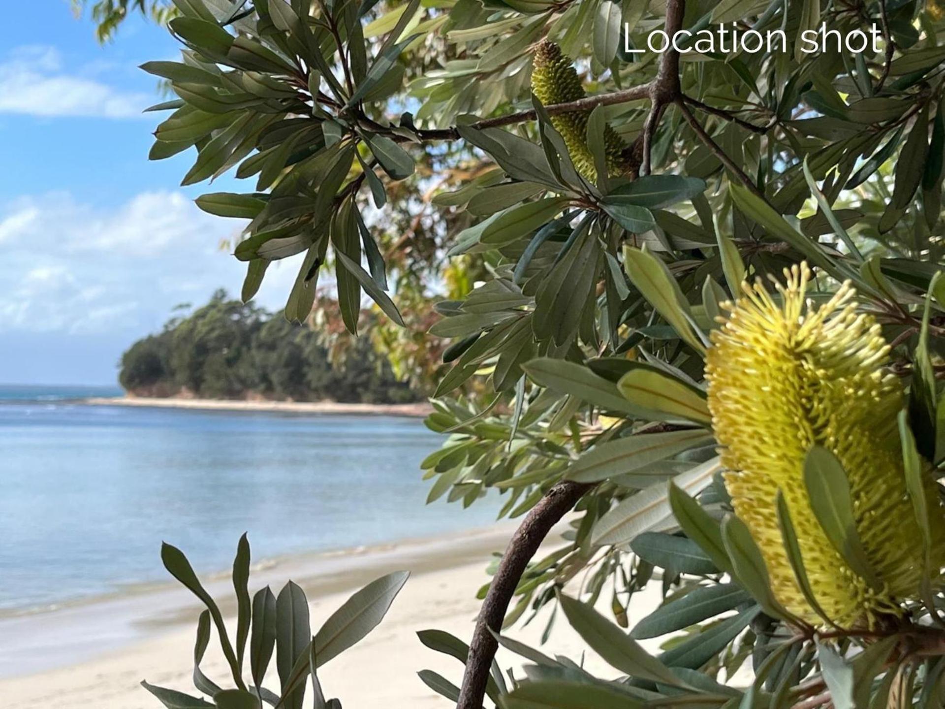 Apartmán Banksia On Blenheim By Experience Jervis Bay Vincentia Exteriér fotografie